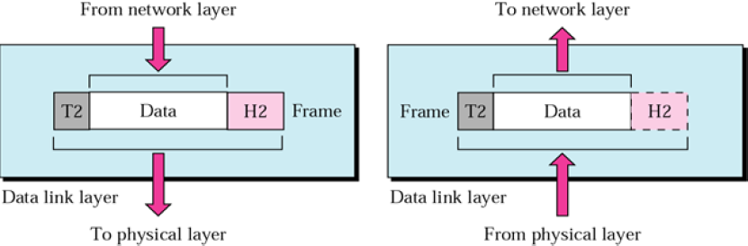 data link layer