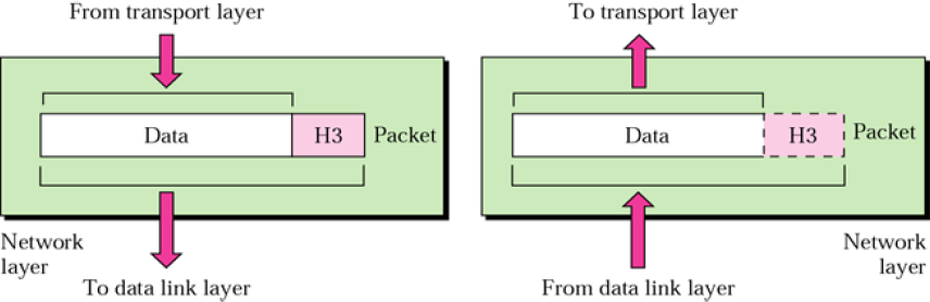 network layer