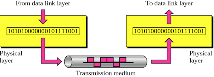 physical layer