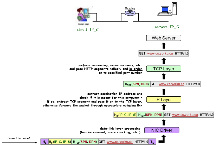 TCP/IP up